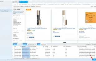 ScrapeStorm screenshot 3