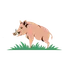 Transcriboar icon