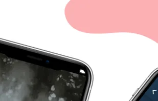 Phoenix: Motivation and Meditation screenshot 1