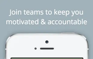 SimpleSteps screenshot 2