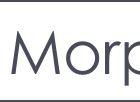 Morph.ai icon