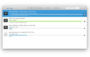 Torrential screenshot 1