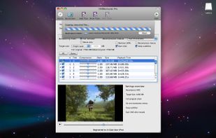 DVDRemaster screenshot 1