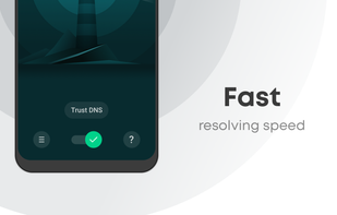 Trust DNS screenshot 2