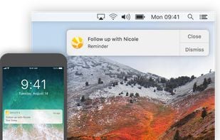 Daylite screenshot 2