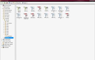 The G.ho.st explorer's filesystem looks and functions just like its popular, not-so-free counterpart