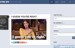 Reaction GIFs screenshot 1