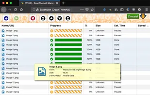 DownThemAll screenshot 1