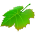 Breeze icon