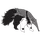An Anteater's Adventure icon