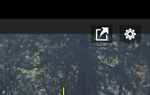 CoachView screenshot 2