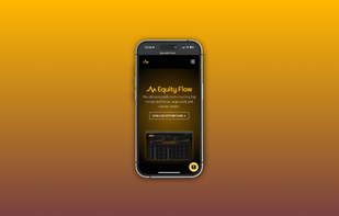 Equity Flow screenshot 3