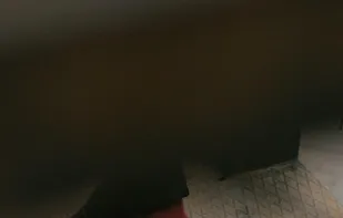 SD News - Sugar Daddy News screenshot 2