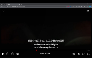 Netflix Bilingual Subtitles screenshot 2