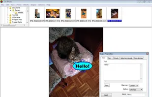 Cat Photo screenshot 1