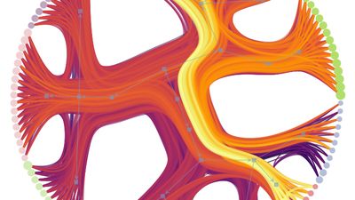 Statistical inference of modular network structure