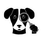 Domain Watchdog icon