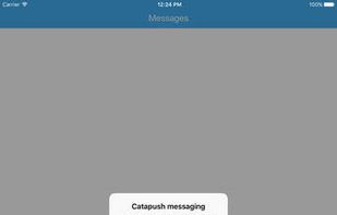 Catapush screenshot 3