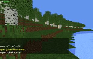 TrueCraft screenshot 1