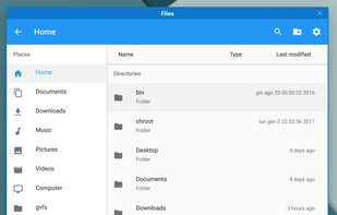 Liri Files screenshot 1