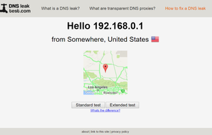 DNS leak test screenshot 1