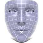 Boundary First Flattening (BFF) icon