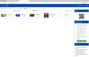 Access the sharing files from web browser