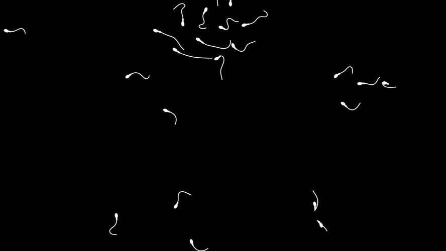 Paper.js Open source vector graphics scripting framework that runs on