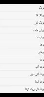 English to Urdu Dictionary screenshot 2