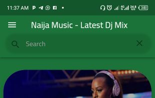 Naija Music screenshot 1