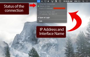 Ethernet Status screenshot 1