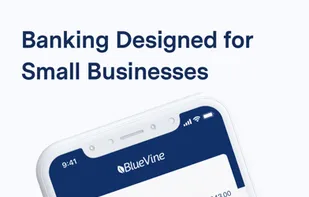 BlueVine screenshot 1