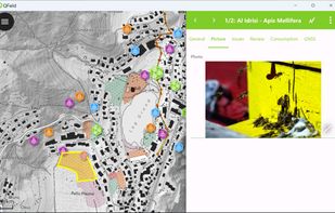 QField screenshot 3
