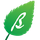 BirchPress icon
