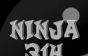 Ninja 314 screenshot 3