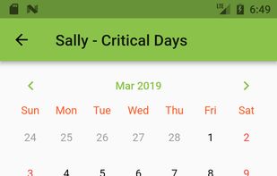 Biorhythms and Critical Days screenshot 1