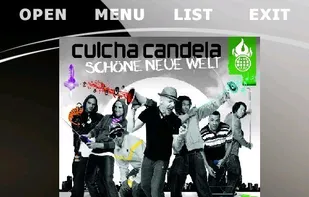 A custom skin (iGlass) from the MortPlayer forum