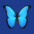 Bluesky Scheduler icon