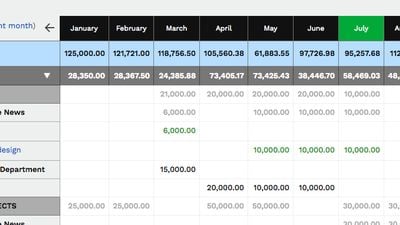 The Cash Flow Table shows you every transaction, beautifully organized by week or month.