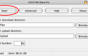 Step 2: Click the 'Start' button.
