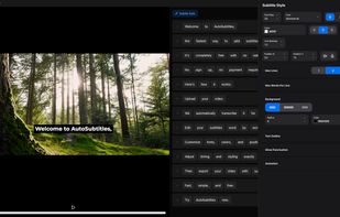 AutoSubtitles screenshot 1