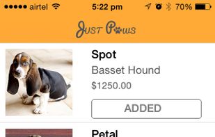 iOS SDK for mobile e-commerce apps