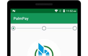 PalmPay screenshot 1