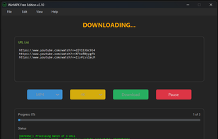 Main downloader app window.