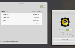 Blueberry screenshot 1