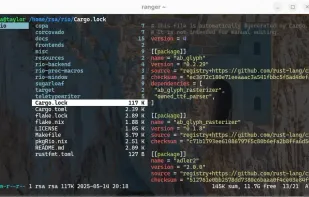 Rio Terminal screenshot 2