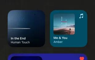 WidgetPod screenshot 1