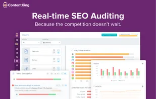 ContentKing screenshot 1