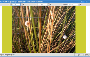 Videoporama screenshot 3