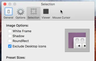 customizable resolution presets